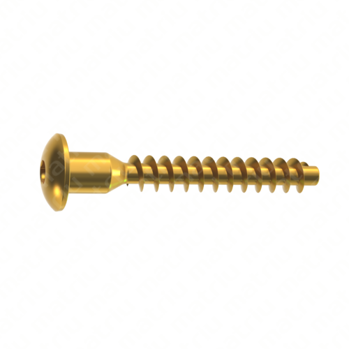 TORNILLO EMBELLECEDOR ALLEN ROSCA GOLOSA SIN PUNTA TORNILLO EMBELLECEDOR ALLEN ROSCA GOLOSA SIN PUNTA