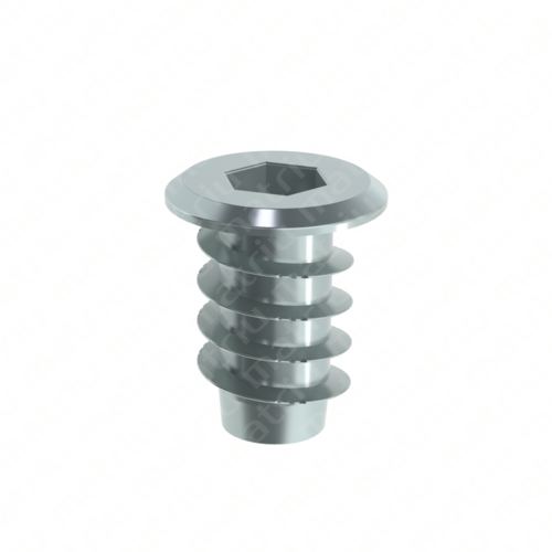 TUERCA EMBUTIR CABEZA PLANA ALLEN ROSCA IZQA. TUERCA EMBUTIR CABEZA PLANA ALLEN ROSCA IZQA.